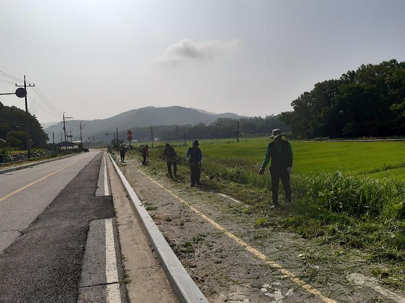 양사면_환경정비_(3)