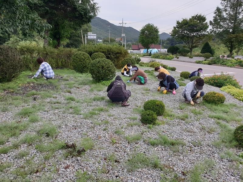 양사면_환경정화_(1)