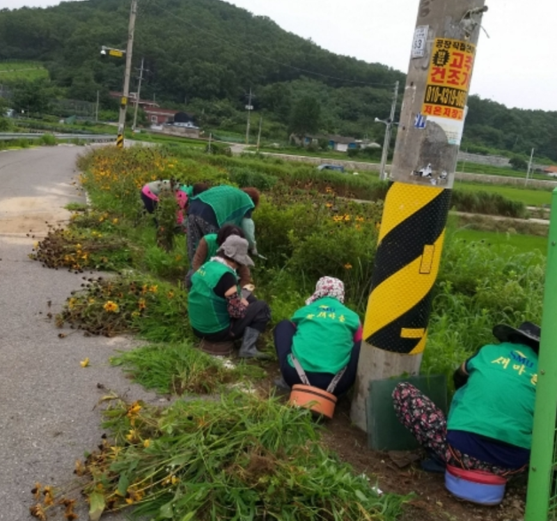 양사면_환경정화_2