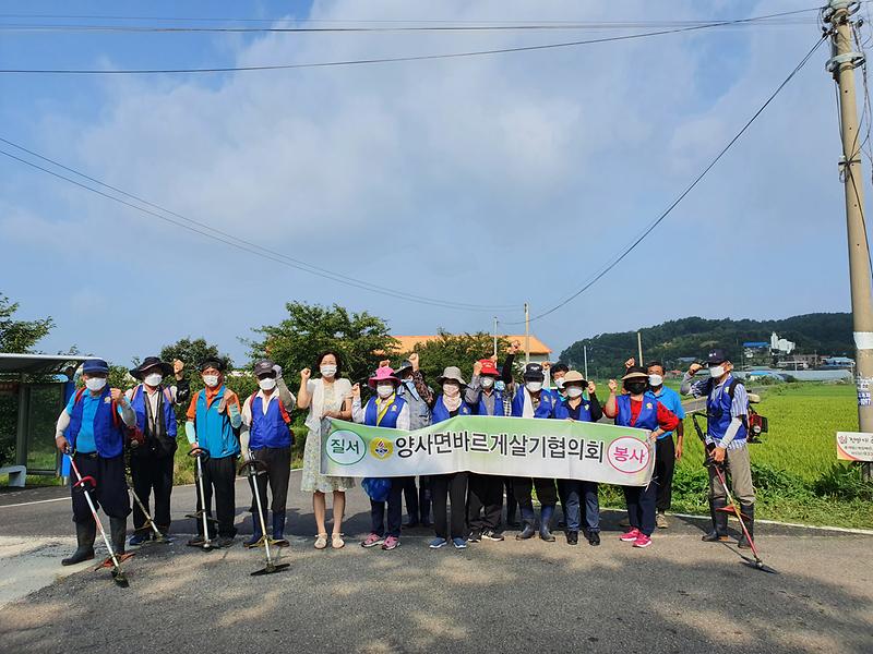 양사면_제초작업_(1)