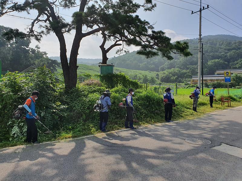 양사면_제초작업_(2)