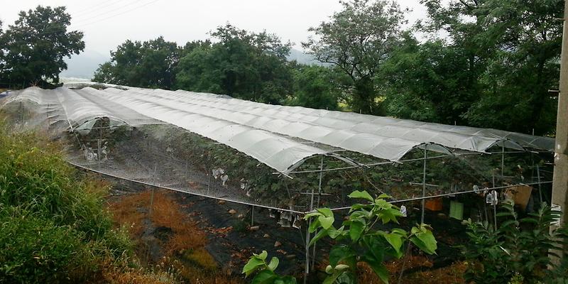 야생동물_피해예방사업2