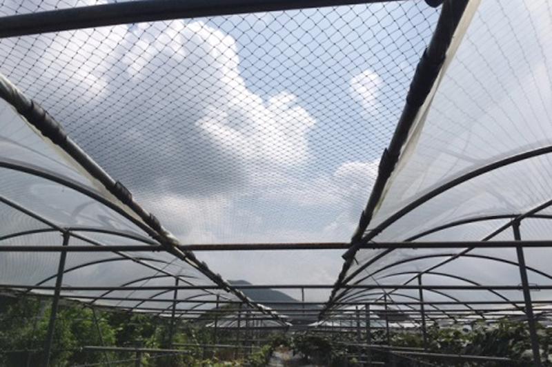 야생동물피해예방_방조망