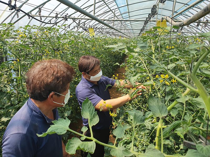 영농컨설팅__(1)