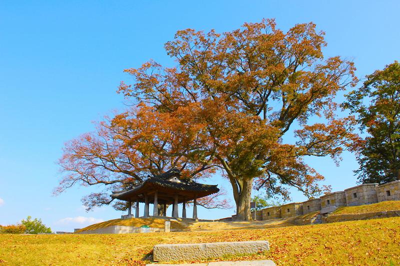 강화군, 한국관광공사와 ‘연미정‧월곶돈대’ 언택트 강소형 관광지 육성 사진