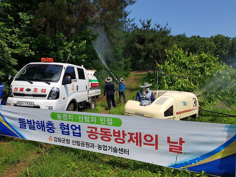 20210604_돌발해충_협업_공동방제_(6)
