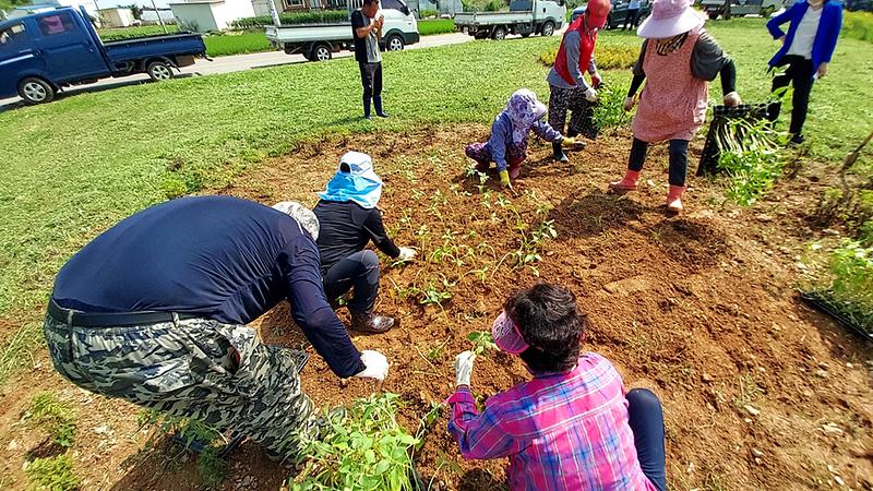 보도자료_사진(2)