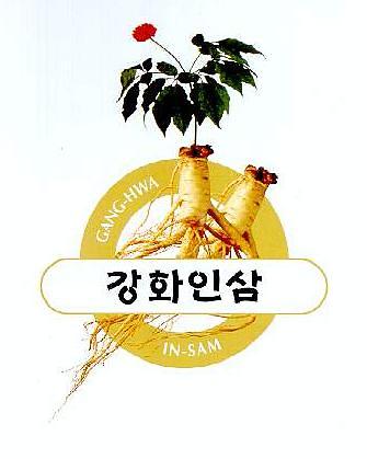 브랜드(인삼)