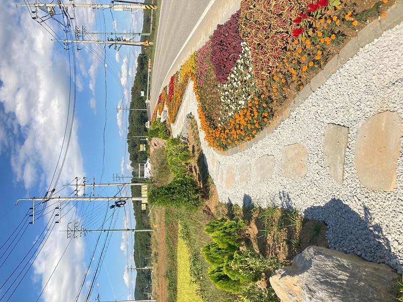 불은면_대청교_화단