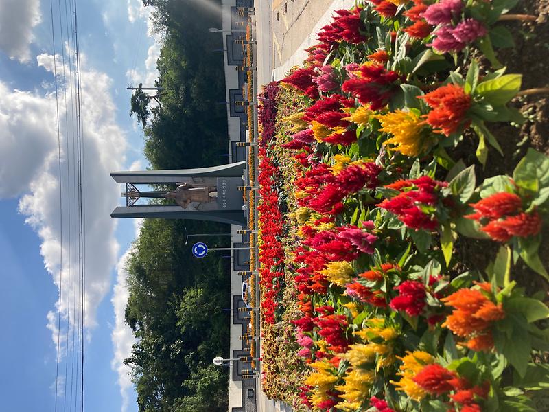 불은면_광성보_화단