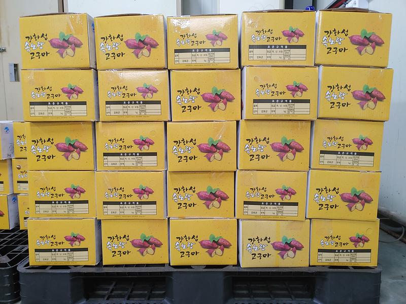 불은면_관련사진(고구마)