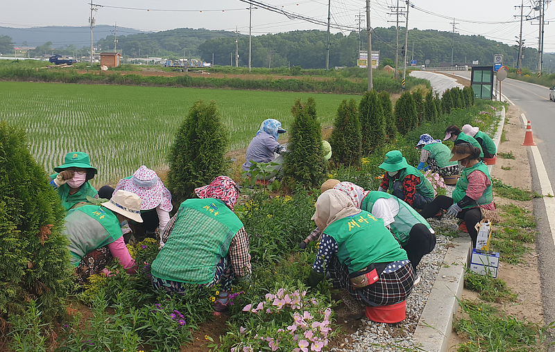 불은면_환경정비_(1)