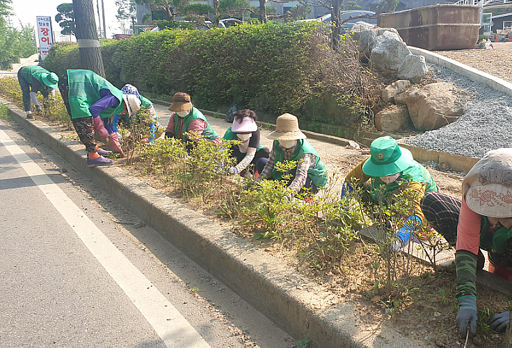 불은면_환경정비_(2)