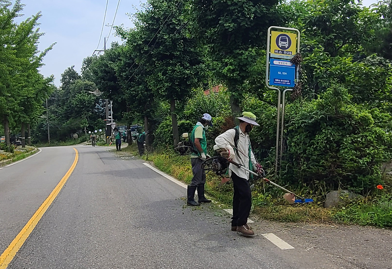 불은면_제초_(1)