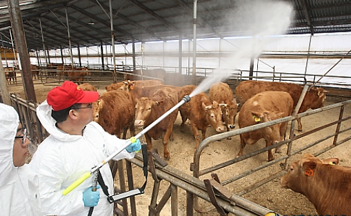 축산과_구제역_(1)