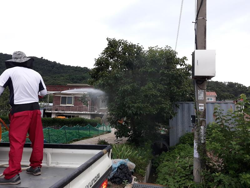 강화읍_방제_(2)