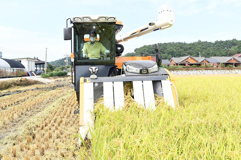 강화섬쌀_첫_수확현장_확인_(16)