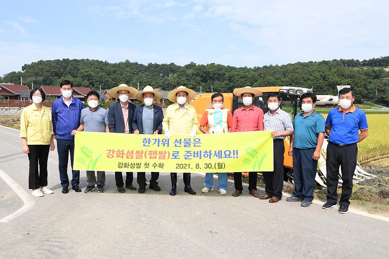 강화섬쌀_첫_수확현장_확인_(17)