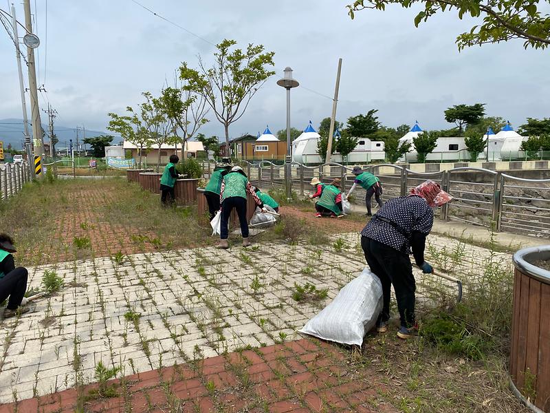 길상면_해안청소_(2)