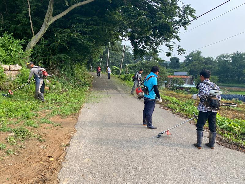 길상면_제초작업_(3)