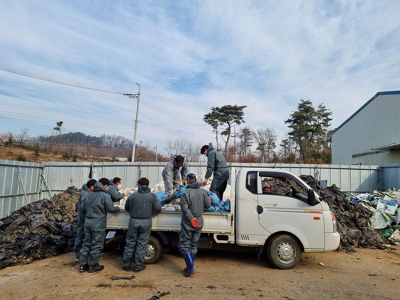 길상면_영농폐비닐_수거