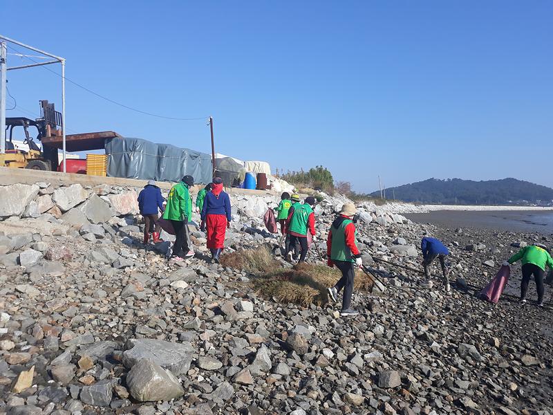 교동면_청소_(1)