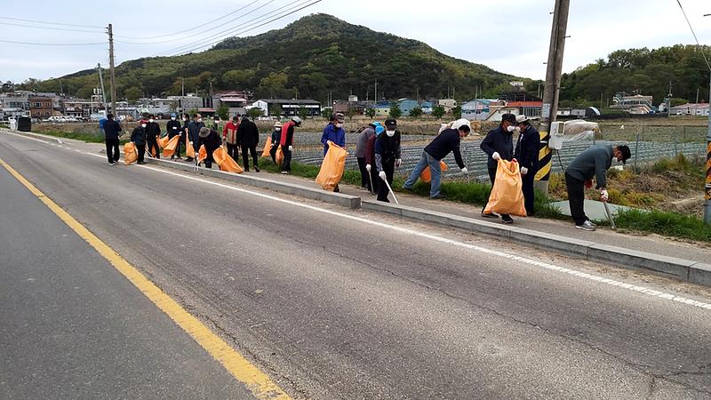 교동면_대청소_(2)