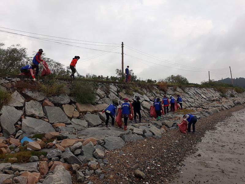 교동면_해안청소_(1)