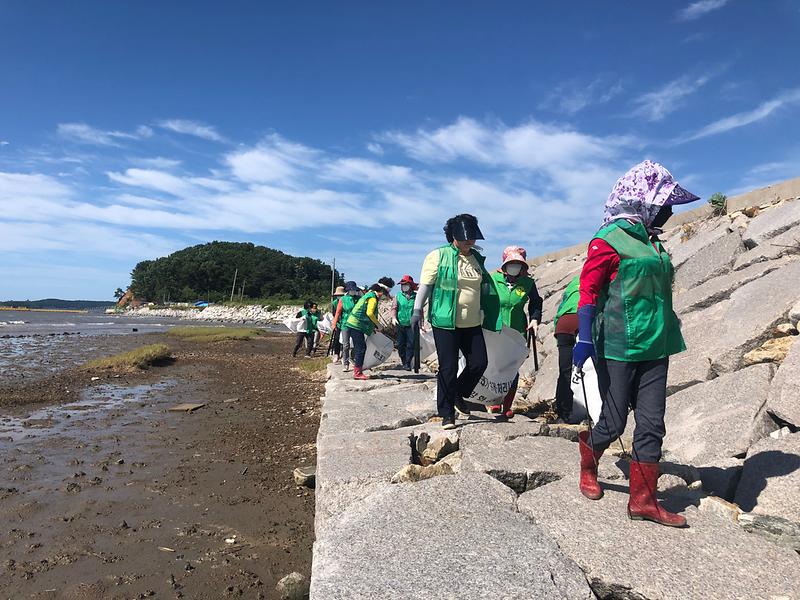 교동면_해안쓰레기_(1)