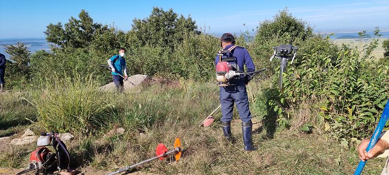 교동면_화개산정비_(1)