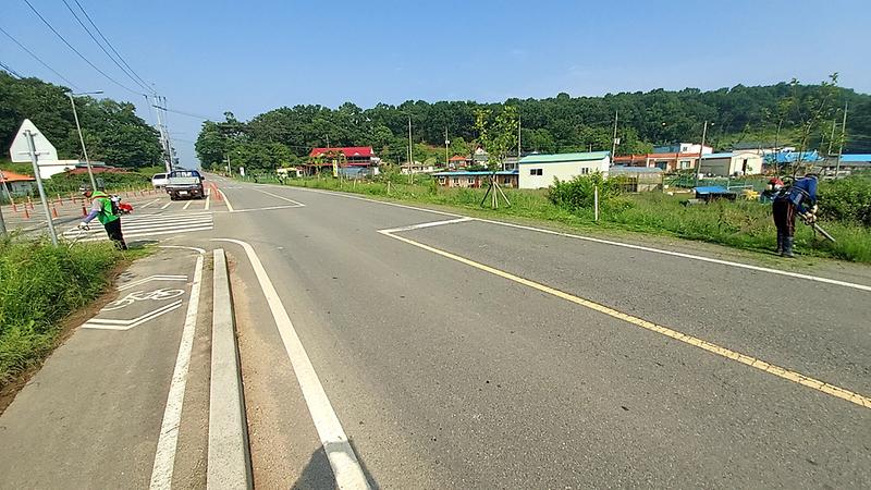 교동면_제초작업