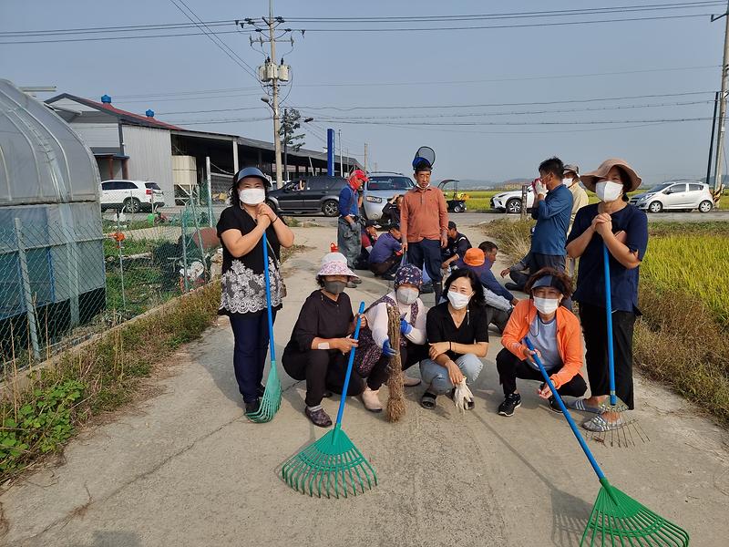 교동면_꽃길_가꾸기_(3)