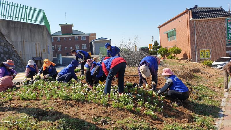 교동면_꽃길조성_(1)