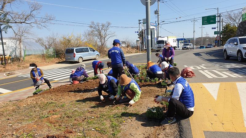 교동면_꽃길조성_(2)