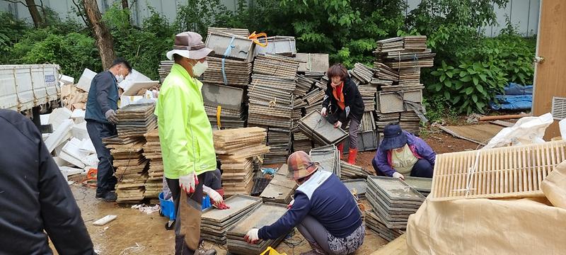 교동면_모판수거_(2)