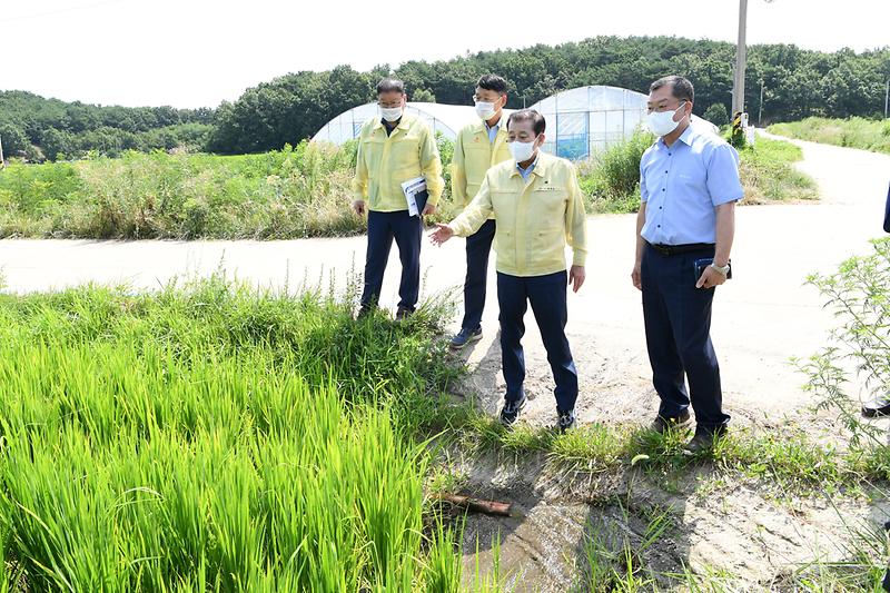 교동면_농업용수_공급_(3)