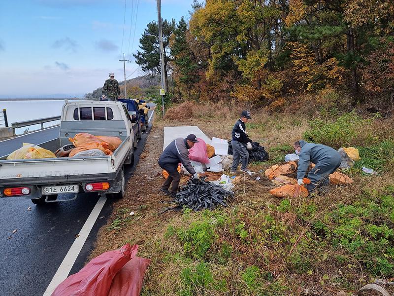 교동면_영농폐비닐_수거_(2)
