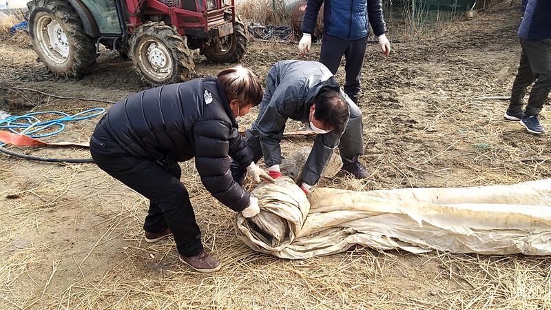 교동면_영농폐기물_(1)