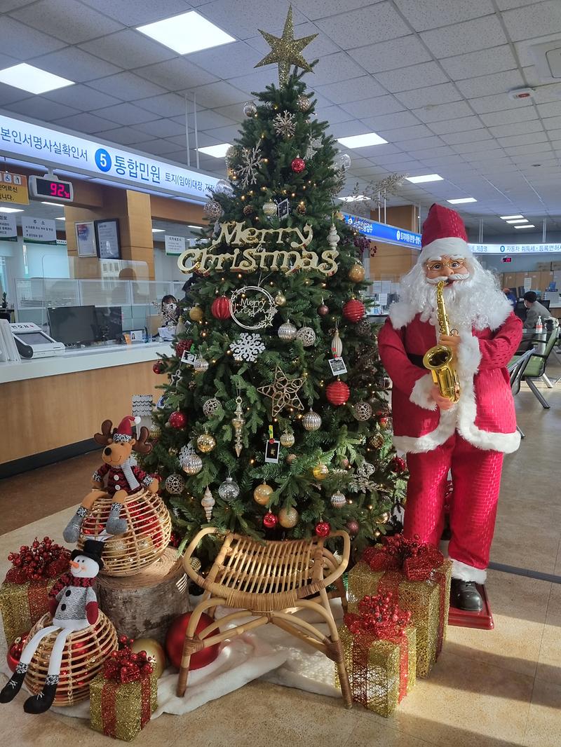 행정과_강화군청_트리_(1)