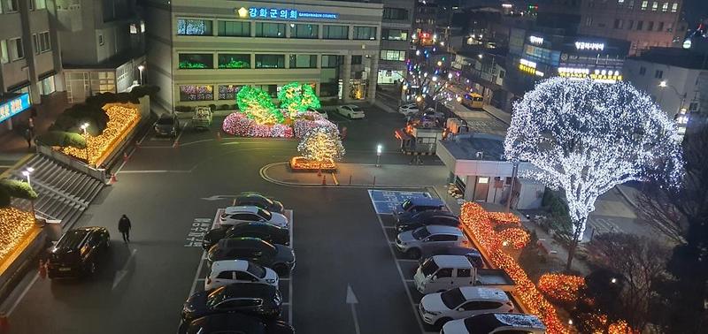 행정과_강화군청_트리_(1)