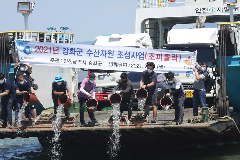 해양수산과_2021년_조피볼락_방류_(1)