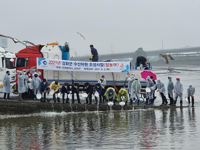 해양수산과_치어방류_(2)