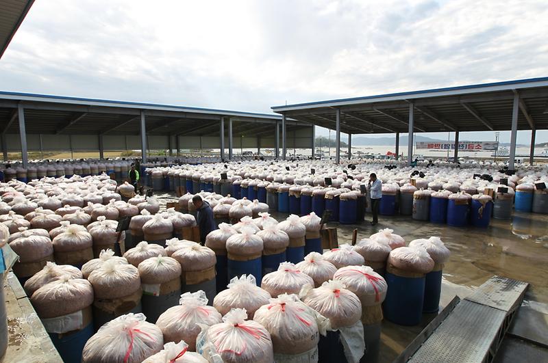해양수산과__새우젓_저장고1