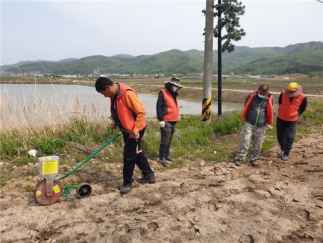 하점면_옥수수파종