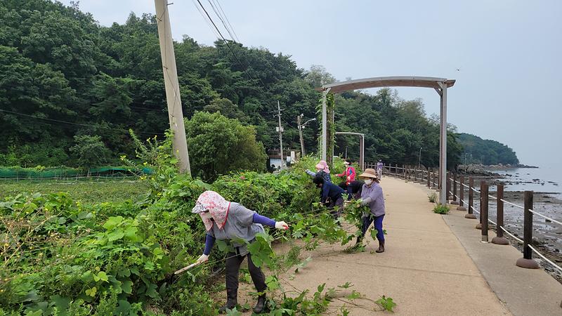 화도면_환경정비_(1)