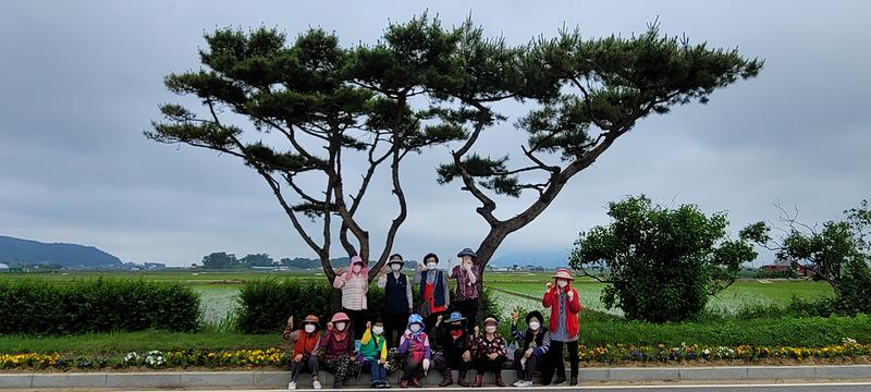 화도면_꽃길_(1)