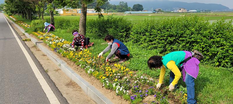 화도면_꽃길_(2)