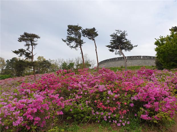 문화관광과_광성보