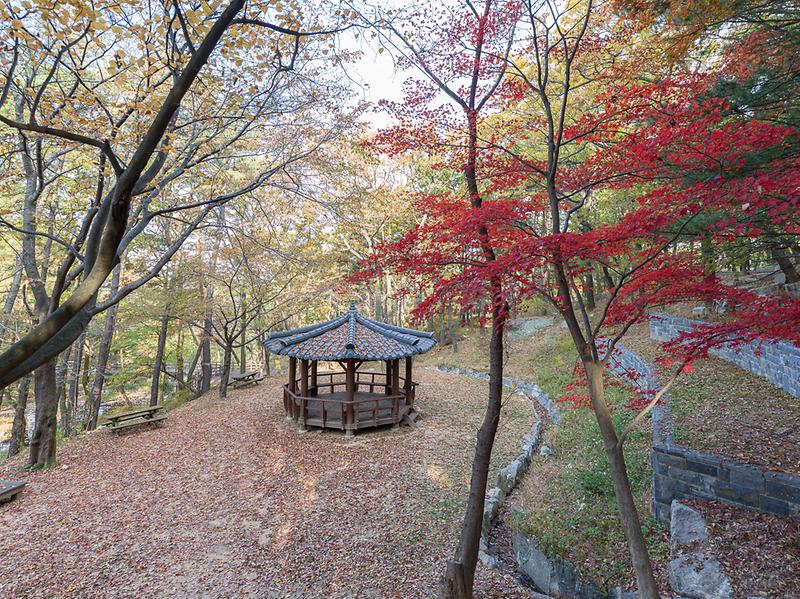 문화관광과_마니산_치유의_숲_(1)