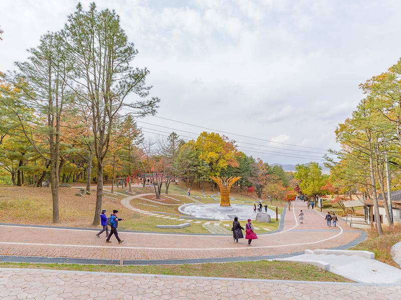 문화관광과_마니산_치유의_숲_(4)